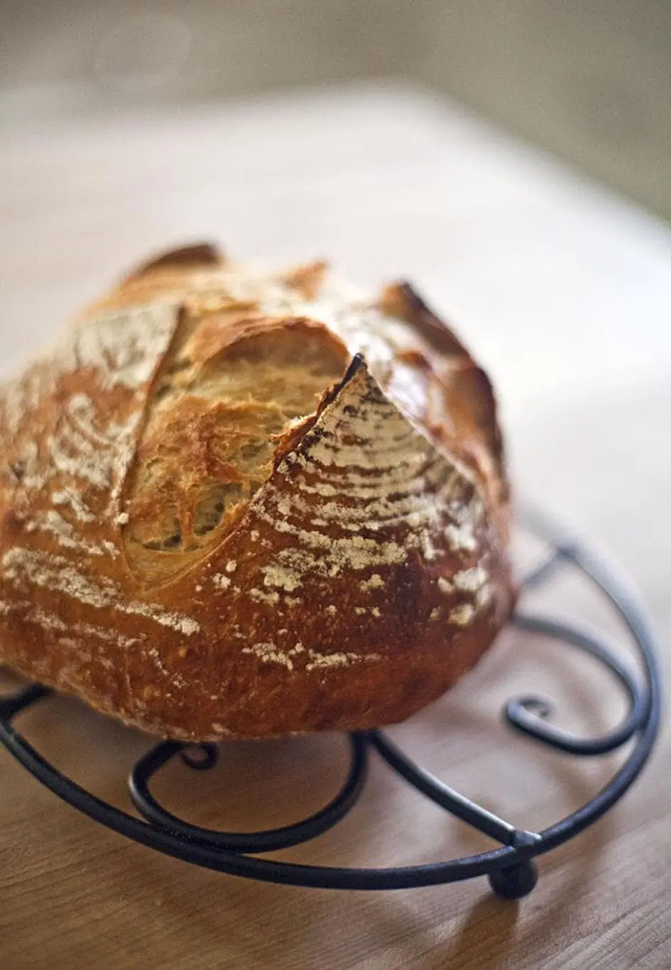 Loaf of fresh yeast bread resting on cooling rack
